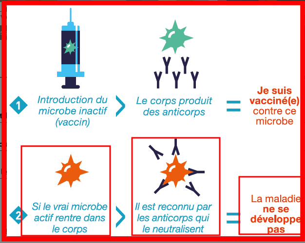 menalahy2's tweet photo. @JulieNicolas67 @TG67210 @olivierveran Il est bon de rappeler qu'un vrai #Vaccin doit protéger contre l'#Infection.
La justification qu'un #Vaccin protège des formes graves de la maladie est l'application d'un #PrincipeMarketing quand ils ont vu que leur #Produit n'immunisait pas réellement.
#StopFakeMed https://t.co/QdwJ2lgm5z