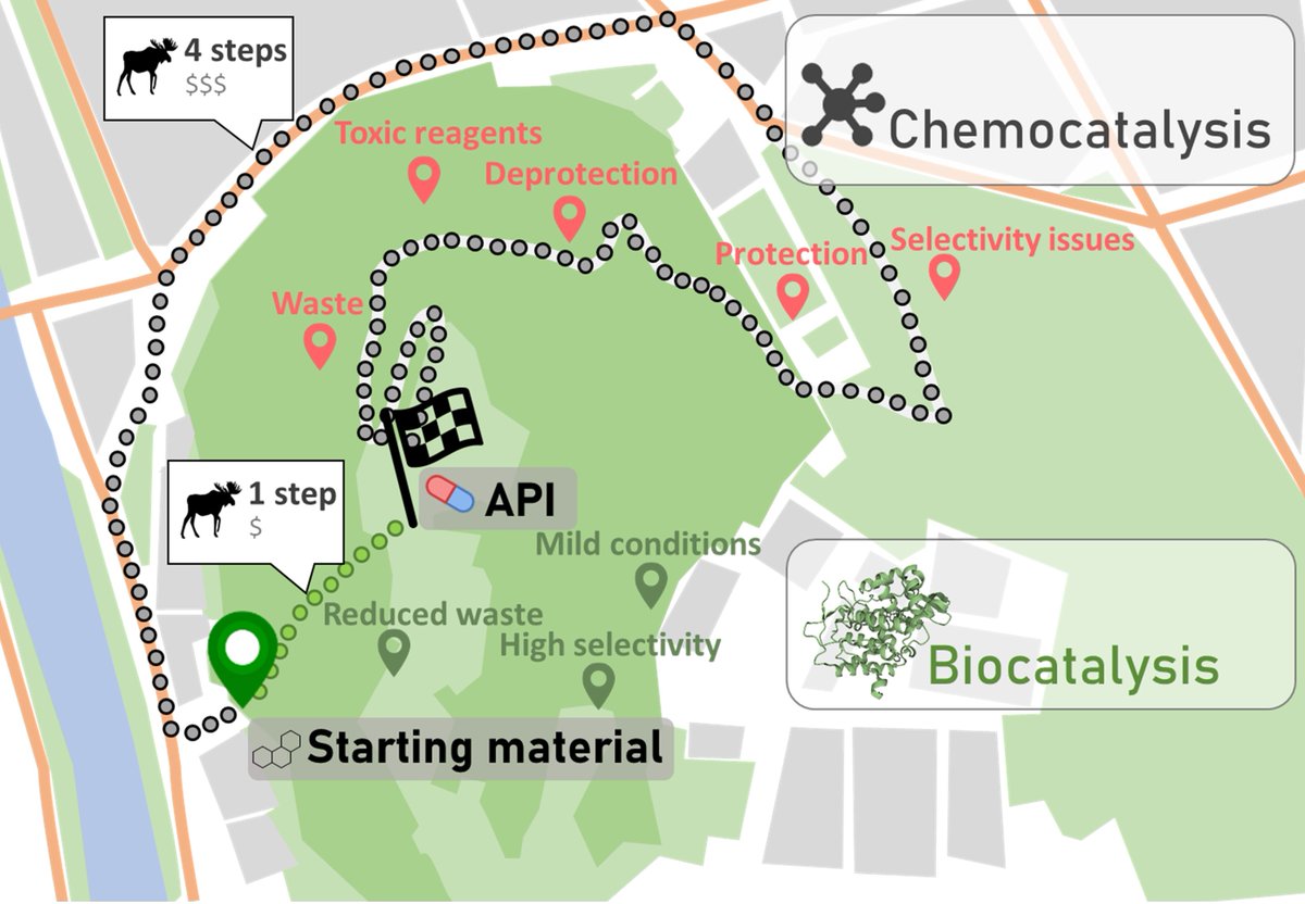 The Elk Crew (@elk_crew) on Twitter photo #Biocatalysis, has emerged as powerful tool for the synthesis of APIs! The #elkcrew has worked hard to compile a good overview of such processes in <a href="/ACSChemRev/">Chemical Reviews</a>. Congrats to Stefan Simić, Erna Zukić, <a href="/LucaSchmermund/">Luca Schmermund</a>, Kurt Faber, <a href="/ck_winkler/">Christoph Winkler</a> and <a href="/WKroutil/">Wolfgang Kroutil</a> pubs.acs.org/doi/10.1021/ac… #Biocatalysis, has emerged as powerful tool for the synthesis of APIs! The #elkcrew has worked hard to compile a good overview of such processes in <a href="/ACSChemRev/">Chemical Reviews</a>. Congrats to Stefan Simić, Erna Zukić, <a href="/LucaSchmermund/">Luca Schmermund</a>, Kurt Faber, <a href="/ck_winkler/">Christoph Winkler</a> and <a href="/WKroutil/">Wolfgang Kroutil</a> pubs.acs.org/doi/10.1021/ac…