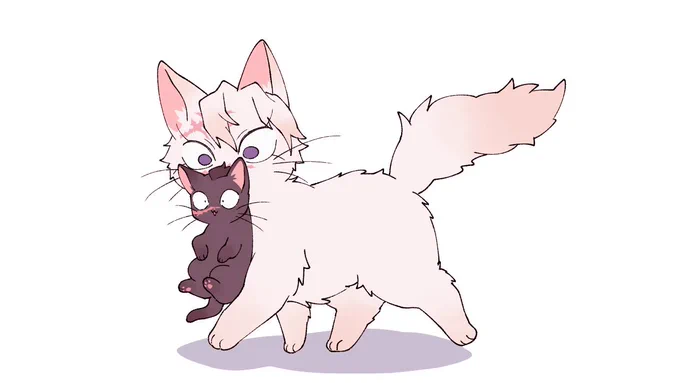 🐈🐾🐾 