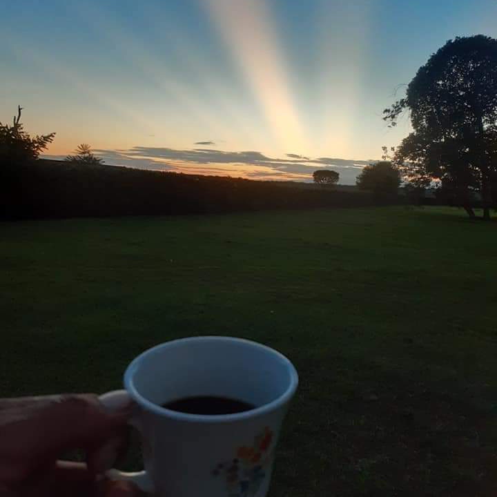 Que no falte el marrano, el maíz y los aliños. El trago y el sancocho, la familia con el abrazo y su calor. Las ganas de sobreponerse, así sea a la distancia, el aguinaldo y la fé. La salud y la esperanza en este mes. La jornada comenzó #estero bd.