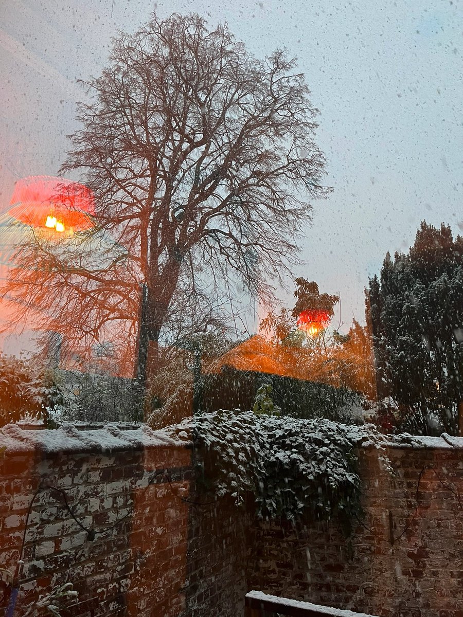 IsaVroom's tweet photo. Snow in #Brussels today! https://t.co/dwai6zvpRv