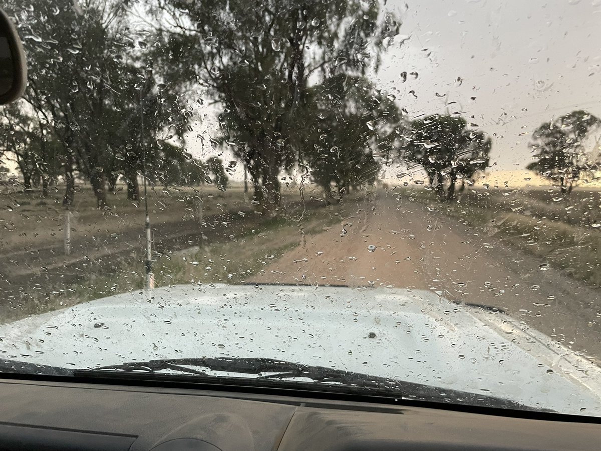 Bill Harding tweet media