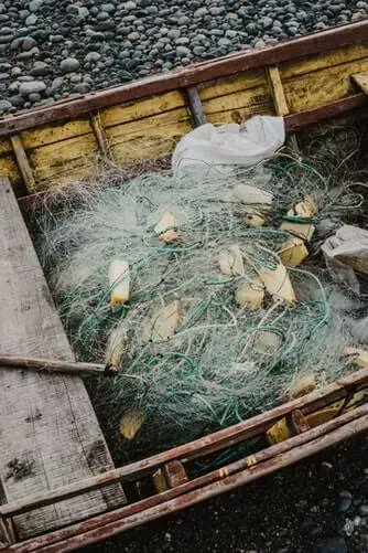 joinbeacheco's tweet photo. 🏖️ $BEACH  🏖️
Fishing nets — not plastic straws, bottles, or microbeads — make up nearly half of the world’s plastic ocean pollution
Join $BEACH today &amp; #DoGood with every transaction
#ClimateAction #CleanOceans #BlueCarbon #ETH #BNB #BTC #Crypto
https://t.co/DadjQt47NN https://t.co/yLoAoBErgD