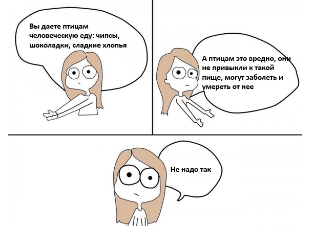 ecologymos's tweet photo. Зима в России уже наступила. И потому полезно напомнить о самых частых ошибках в подкармливании диких птиц.

#МосЭко #РосЭко #кормушкинг #кормимптицправильно #кормимптиц https://t.co/GjbmpjsuzF