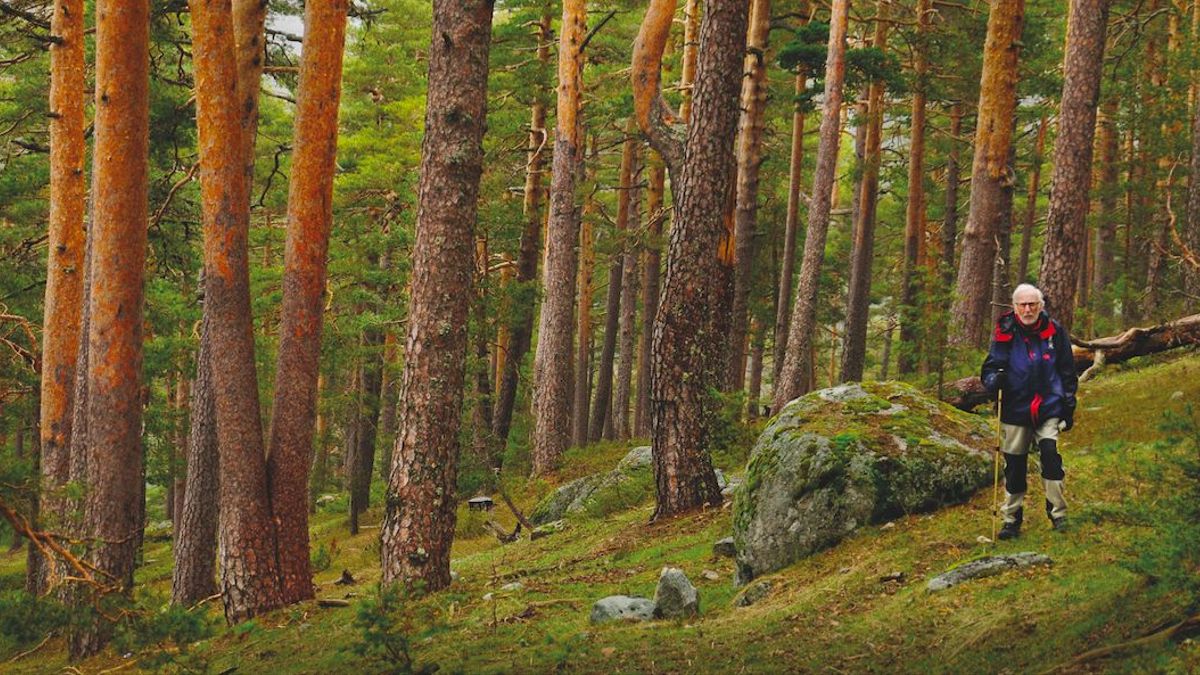 Eduardo Viñuales (@eduvinuales) on Twitter photo Hoy <a href="/eldiarioes/">elDiario.es</a> publica la entrevista que le hice para la revista <a href="/ballenablanca_/">Ballena Blanca</a> en Sierra de Guadarrama al geografo Eduardo Martínez de Pisón hablando de la montaña y la defensa de sus valores naturales: eldiario.es/ballenablanca/…
¡Espero que os guste y que disfrutéis de su saber! Hoy <a href="/eldiarioes/">elDiario.es</a> publica la entrevista que le hice para la revista <a href="/ballenablanca_/">Ballena Blanca</a> en Sierra de Guadarrama al geografo Eduardo Martínez de Pisón hablando de la montaña y la defensa de sus valores naturales: eldiario.es/ballenablanca/…
¡Espero que os guste y que disfrutéis de su saber!