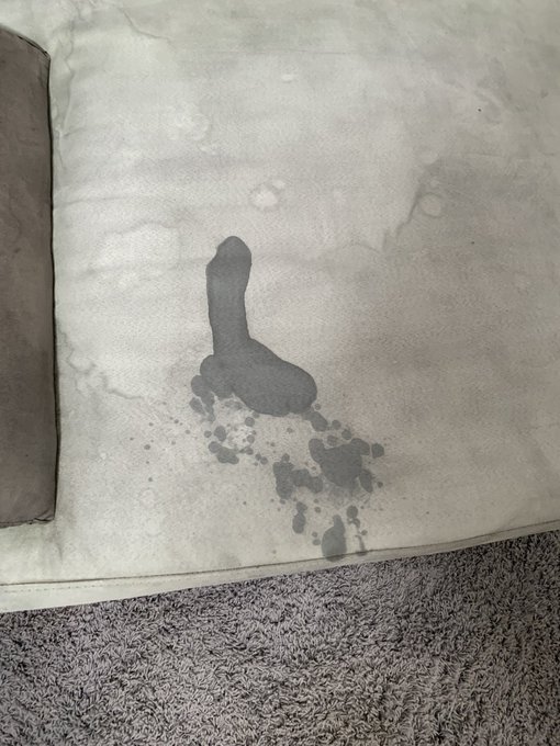that one time i squirted the shape of a penis on this couch https://t.co/7jGWU9NN1D