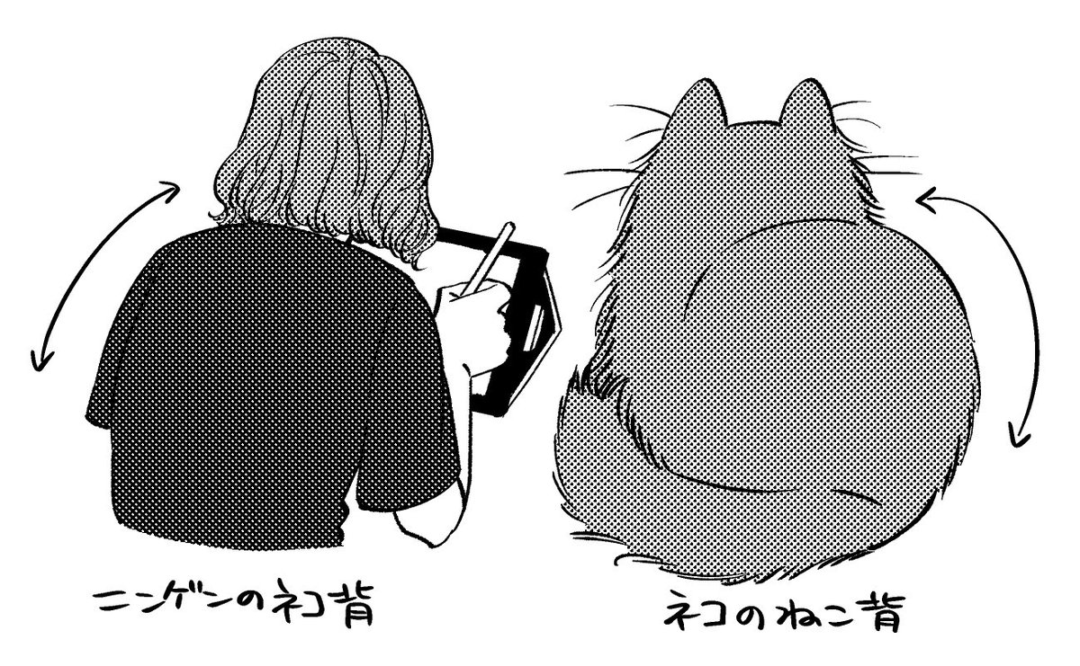 プロのカーブ 