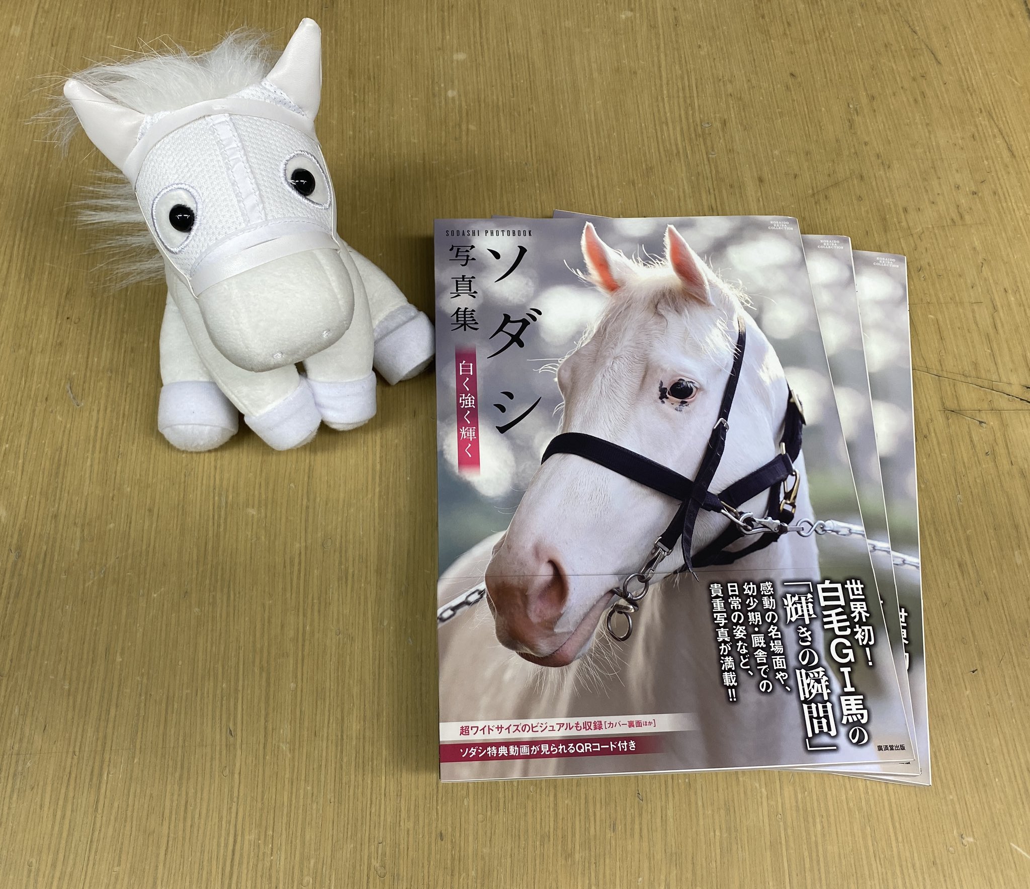 カンテレ競馬 on X: 