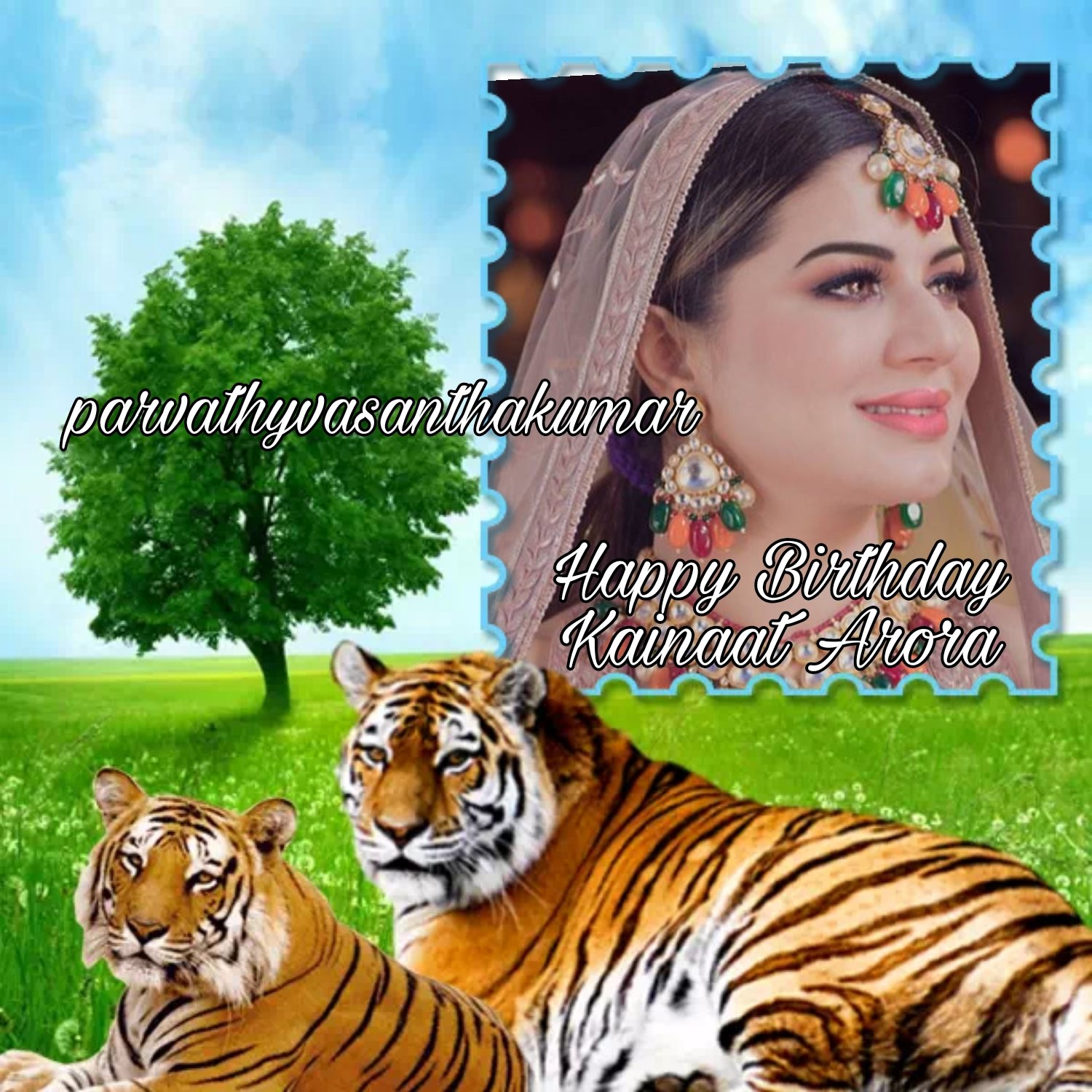 Happy Birthday
Kainaat Arora   