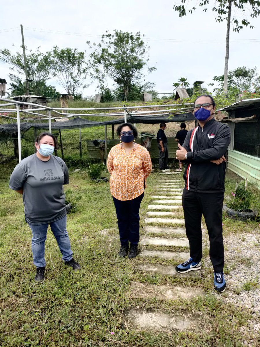 Wild Asia tweet media