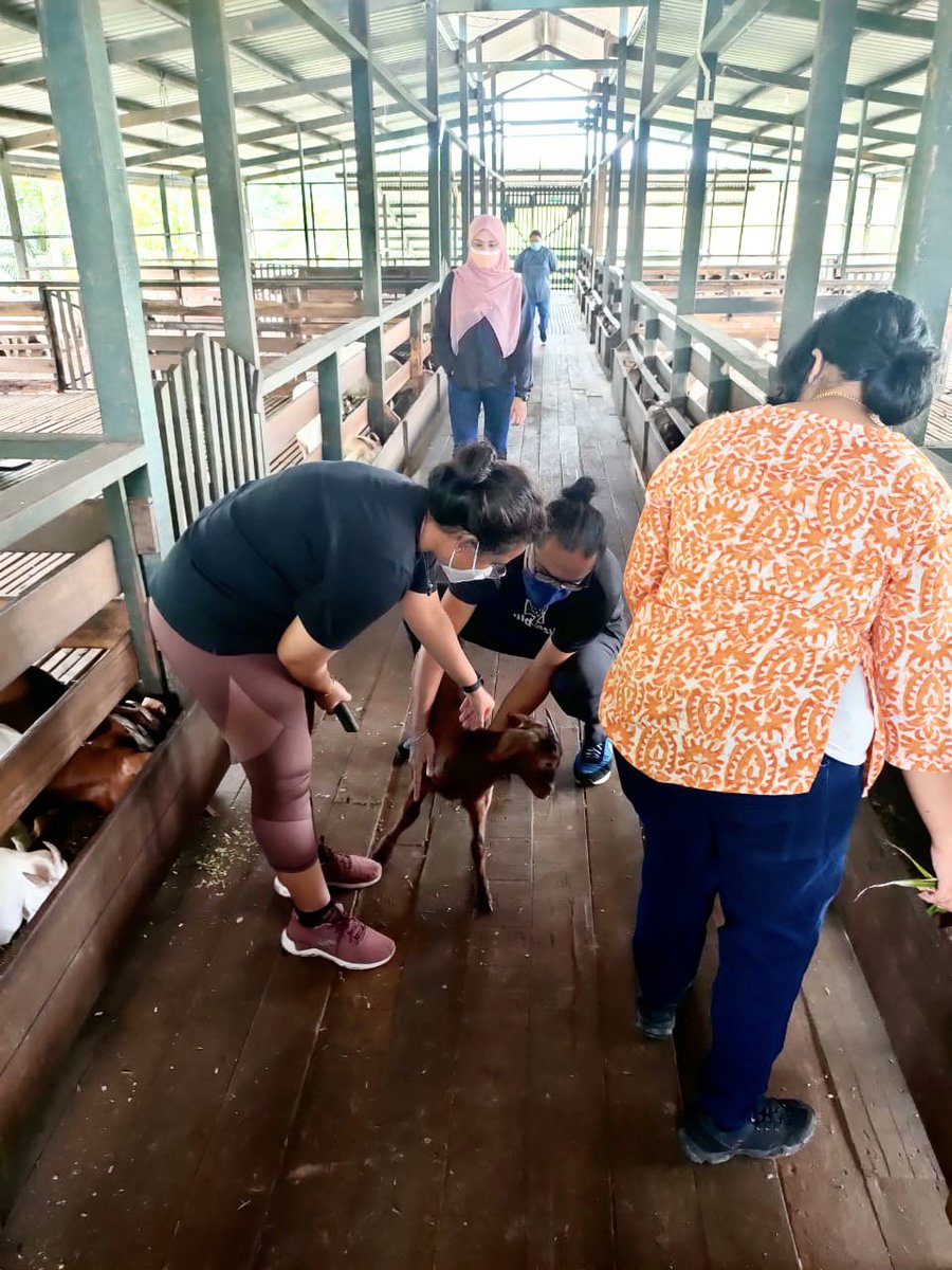 Wild Asia tweet media