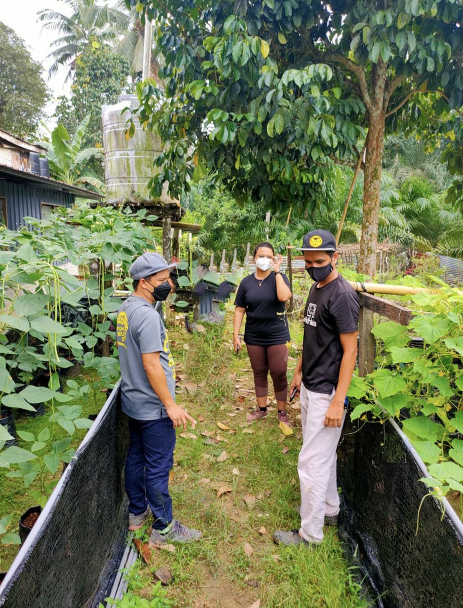 Wild Asia tweet media