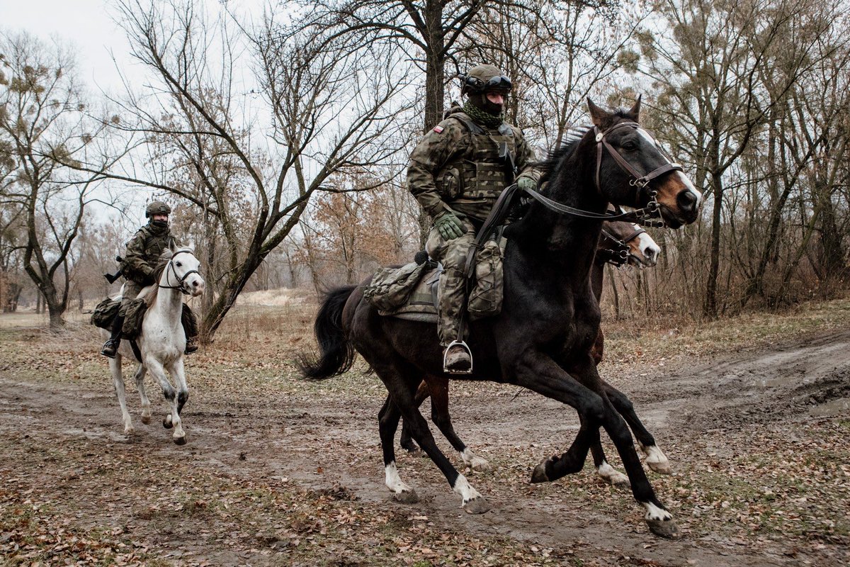 visegrad24's tweet image. Look Son, there go the Poles on their horses… 🇵🇱