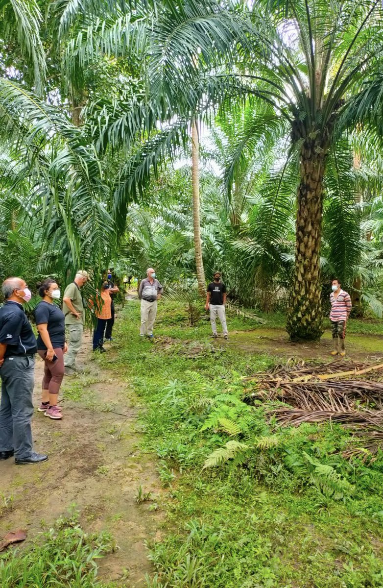 Wild Asia tweet media