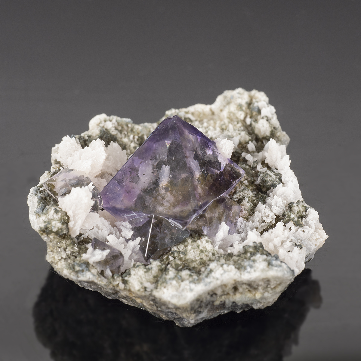 TAK（浅草石フリマ土曜 5/16 参加 6F P-11-12） tweet media