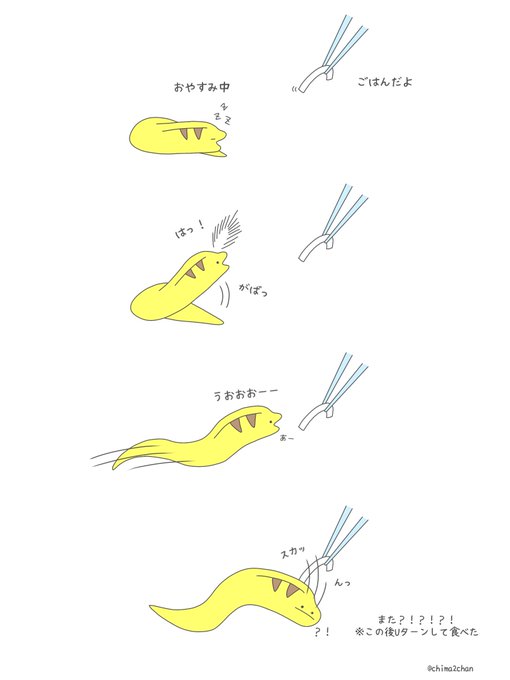 今日のドジウツボ 