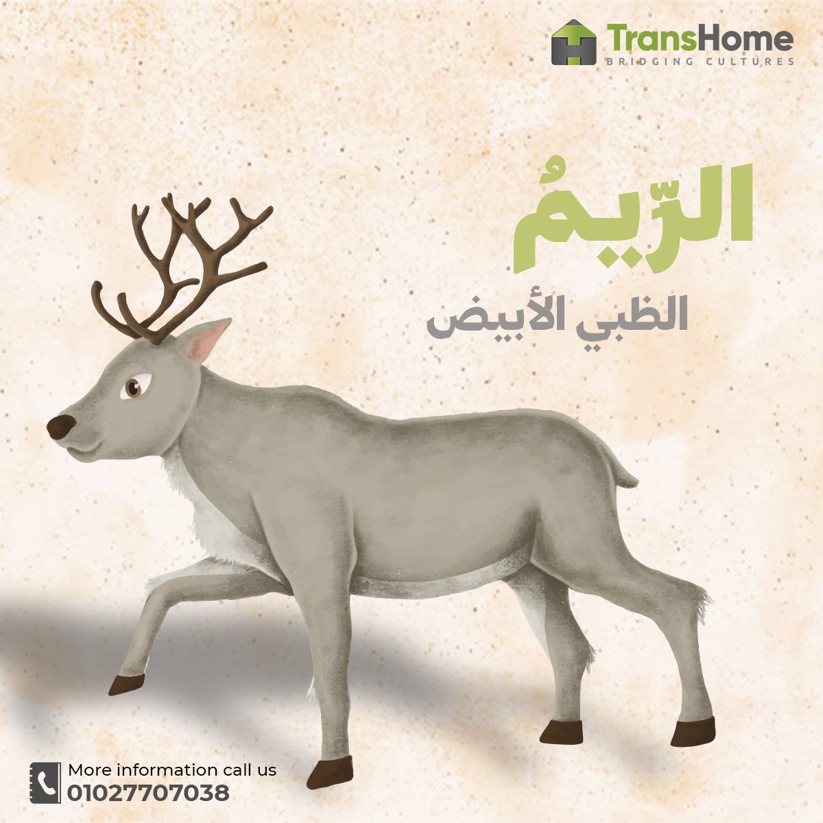 thetranshome's tweet photo. في البَيَاضِ أشْيَاءَ مُخْتَلِفَةٍ
الصبير السَّحابُ الأبيضُ
السَّحْلُ الثَّوبُ الأبْيَضُ
الرِّيمُ الظَّبْيُ الأبْيَضُ
الوثِيرُ الوردُ الأبيضُ
#ترجمة_قانونية_القاهرة
#ترجمة_قانونية_في_القاهرة
#عربي_انجليزي_ترجمة_قانونية_القاهرة
#انجليزي_عربي_ترجمة_قانونية_القاهرة https://t.co/zrZlV4QLop