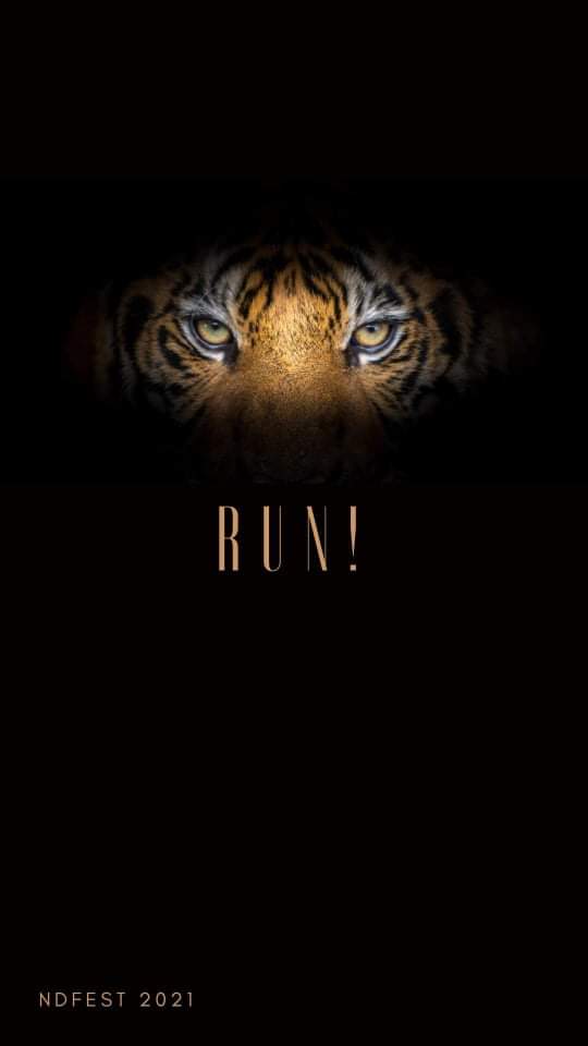 cbacouncil_ndu's tweet photo. Tigers, are you ready? https://t.co/Ocy2xpF4c9