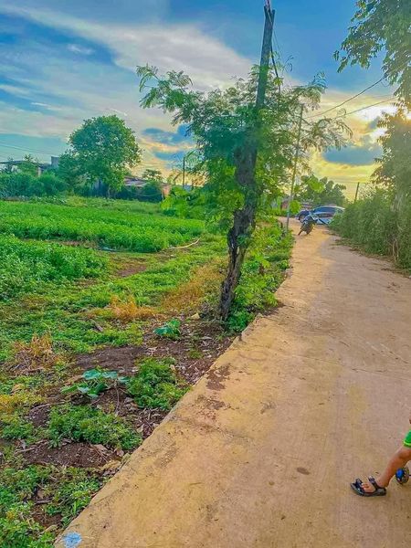 dien160's tweet photo. bầu trời trong xanh https://t.co/FBvB0blrZM