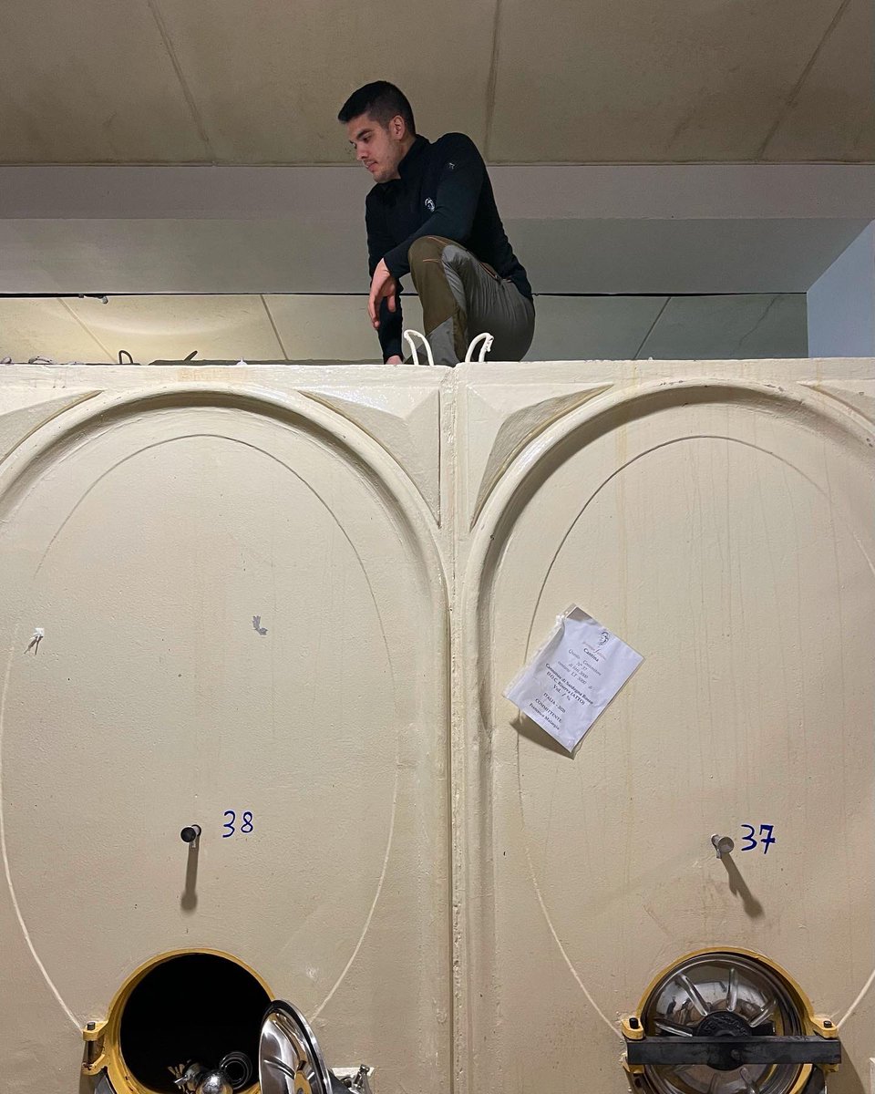 CantinaSedilesu's tweet photo. Controlli di routine da parte di vignaioli circensi
Routine checks
#bottaia #barrelcellar #barrel #cantina #cantinaitaliana #winery #winerylovers #winecellar #winecellardesign #wine #winebarrel #winecountry #mamoiada #sardegna #sardinia #winelover #winelovers #winepassion https://t.co/czYnNvsQSA