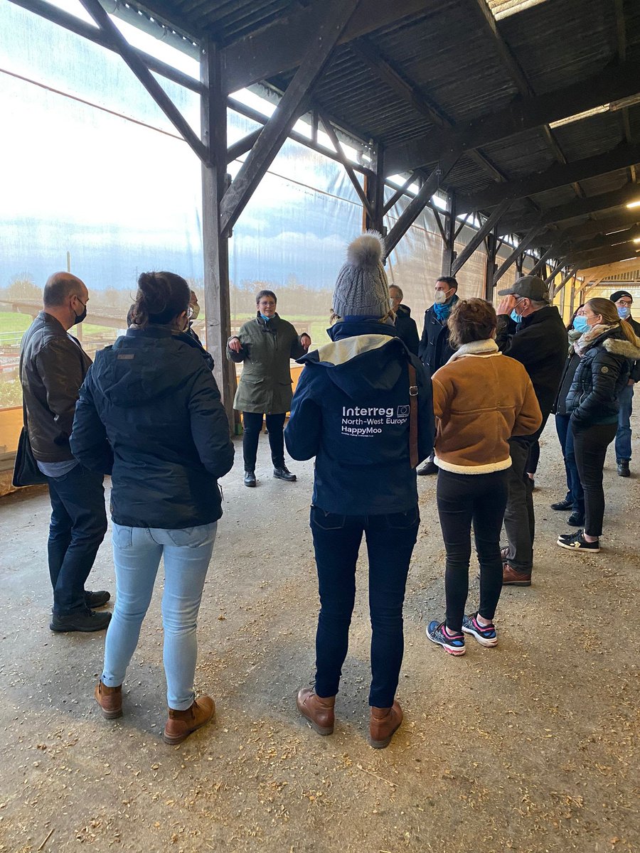 HappyMoo tweet media