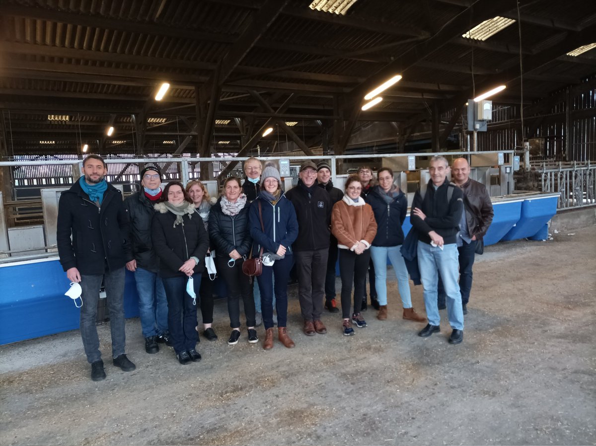 HappyMoo tweet media