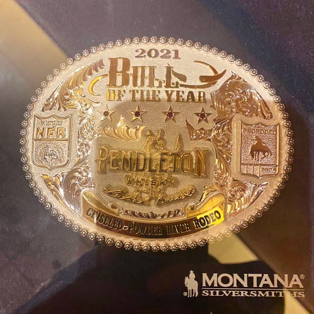 pagebulls's tweet photo. Chiseled received some sweet new hardware from @PRCA_ProRodeo & @MTSilversmiths last night! #bulloftheyear #chiseled https://t.co/I2fmbKpenr