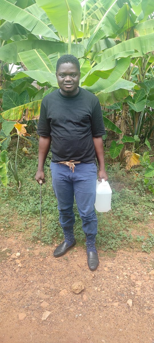 o_tutueben's tweet image. @ghcocobod 
#Cocoafarmer