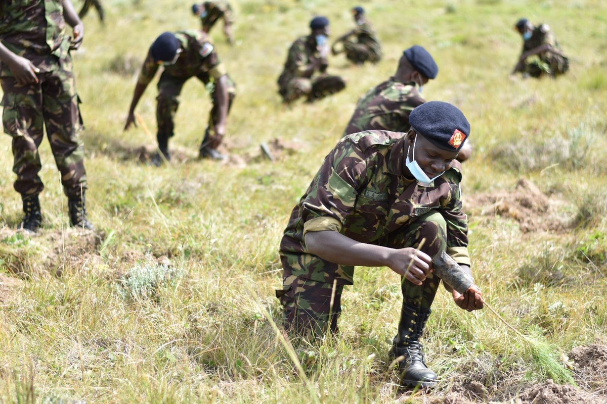 AfricaGreens's tweet photo. Proud of our environmental Soldiers
Mass 🌲🌲🌲 planting https://t.co/EvX3WCiCtH