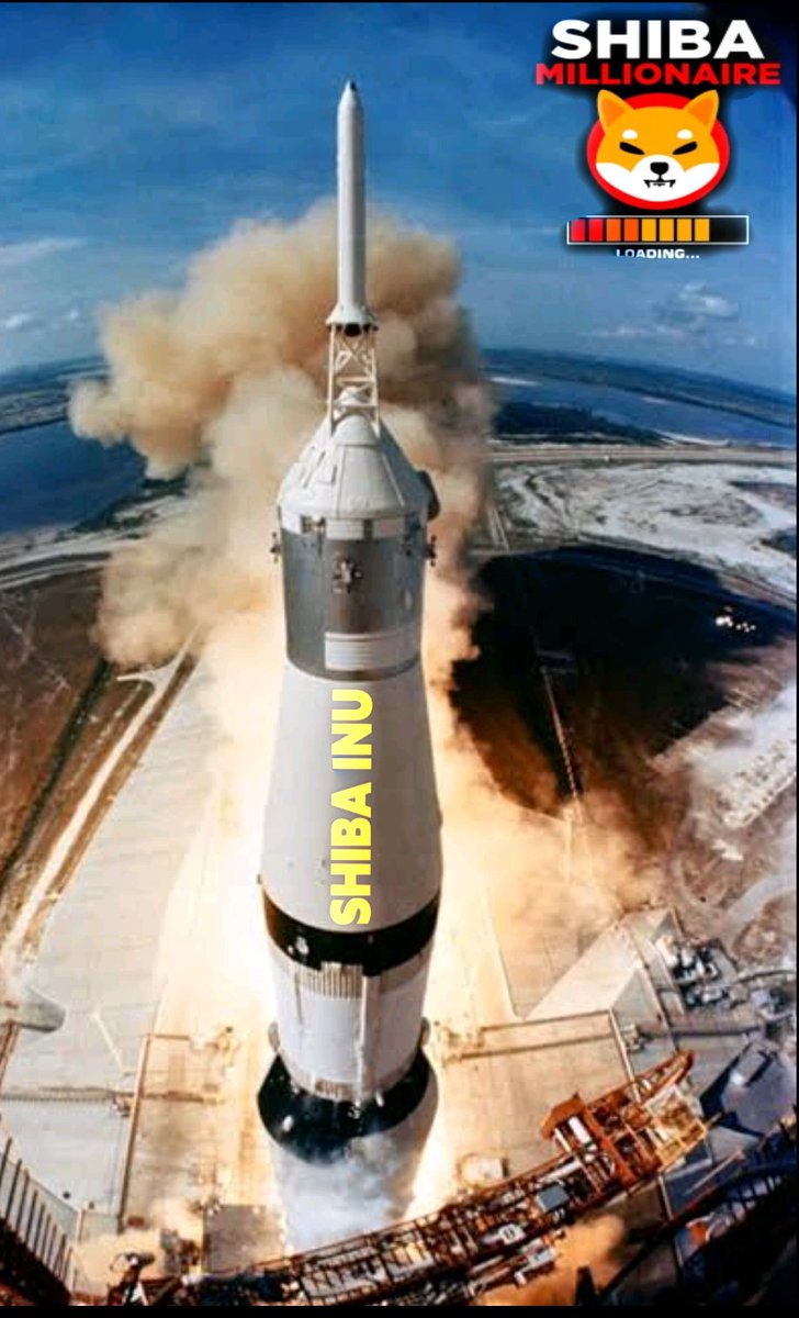 LasGarasi's tweet photo. Get ready Shiba to fly to the moon, fasten your seat belts, friends, https://t.co/5LC0ROZe3h
