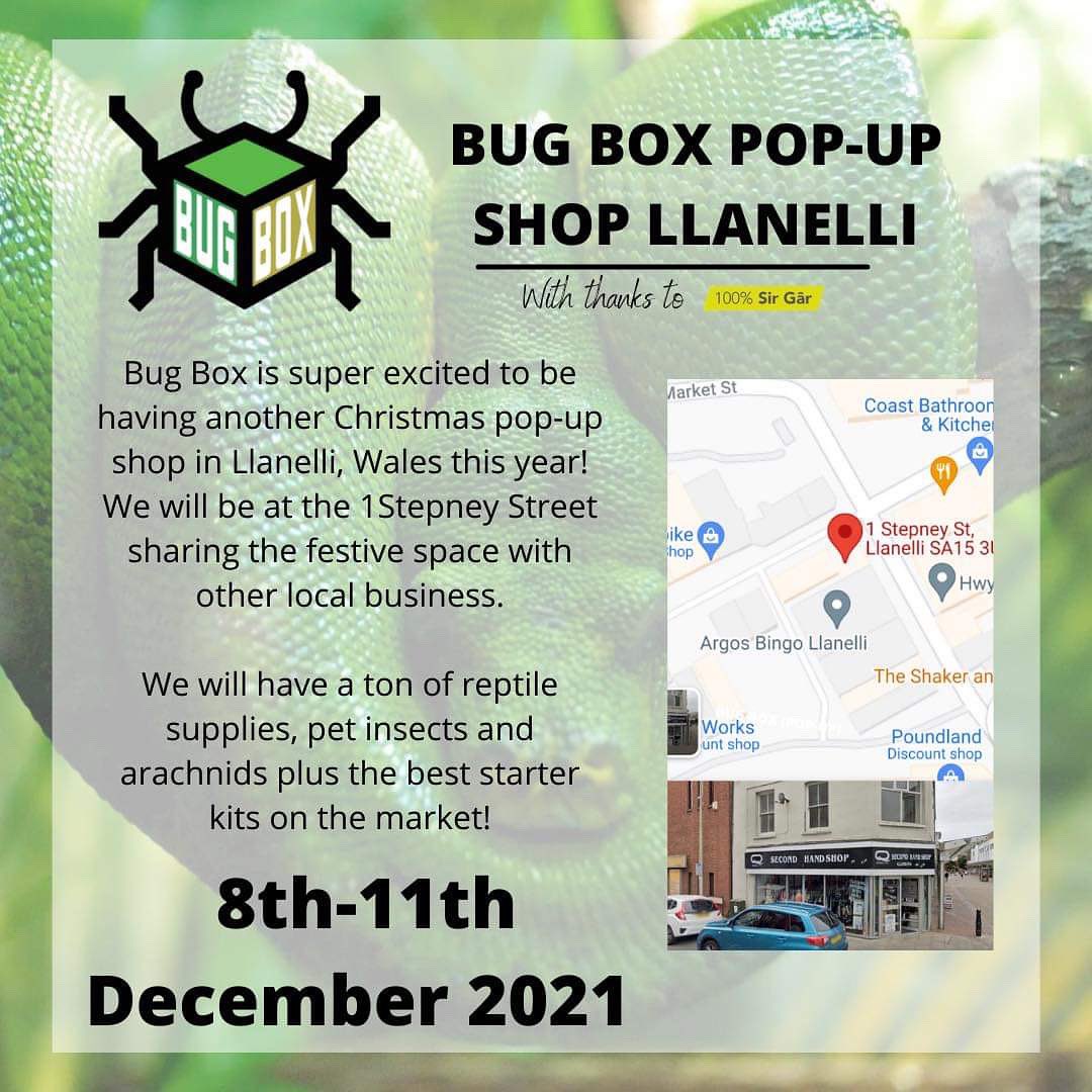 Bugboxuk's tweet image. We have another Christmas #PopUpShop, but this time we will be in #Llanelli! BugBox’s home town 😄 

8th-11th December, just in time for the #christmasshopping! 

Opening times are 10:00-16:00, We hope to see you guys there 😁