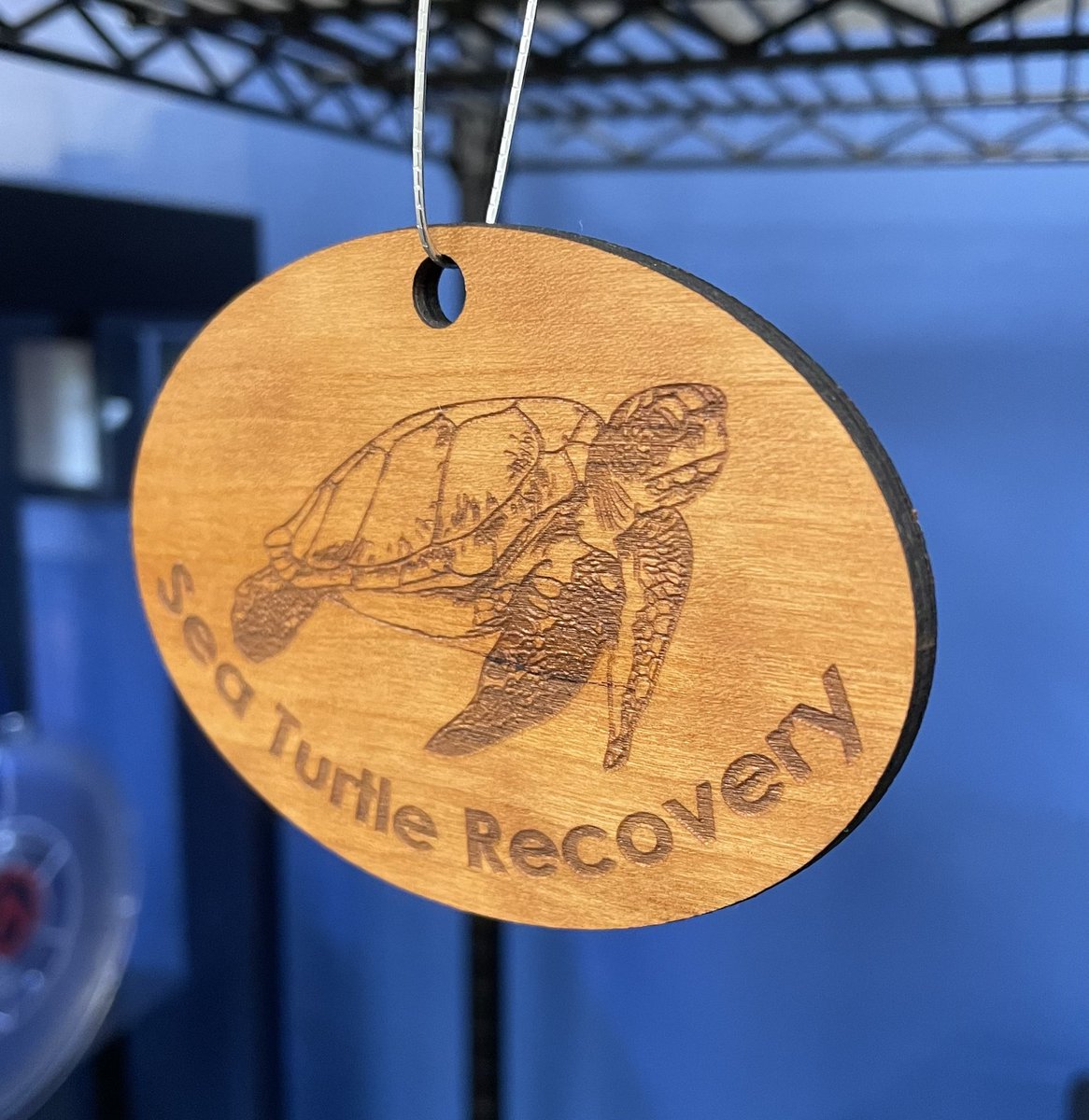 loggerhead_rov's tweet photo. Our team is once again supporting our friends at the Sea Turtle Recovery and their amazing work by making their annual ornaments which help raise funds to support their hospital! 🐢🐢🐢@RebeccaKreider @KevinRStansber1 @PrincipalMOHS @matecenter https://t.co/mOcmVeWJCe