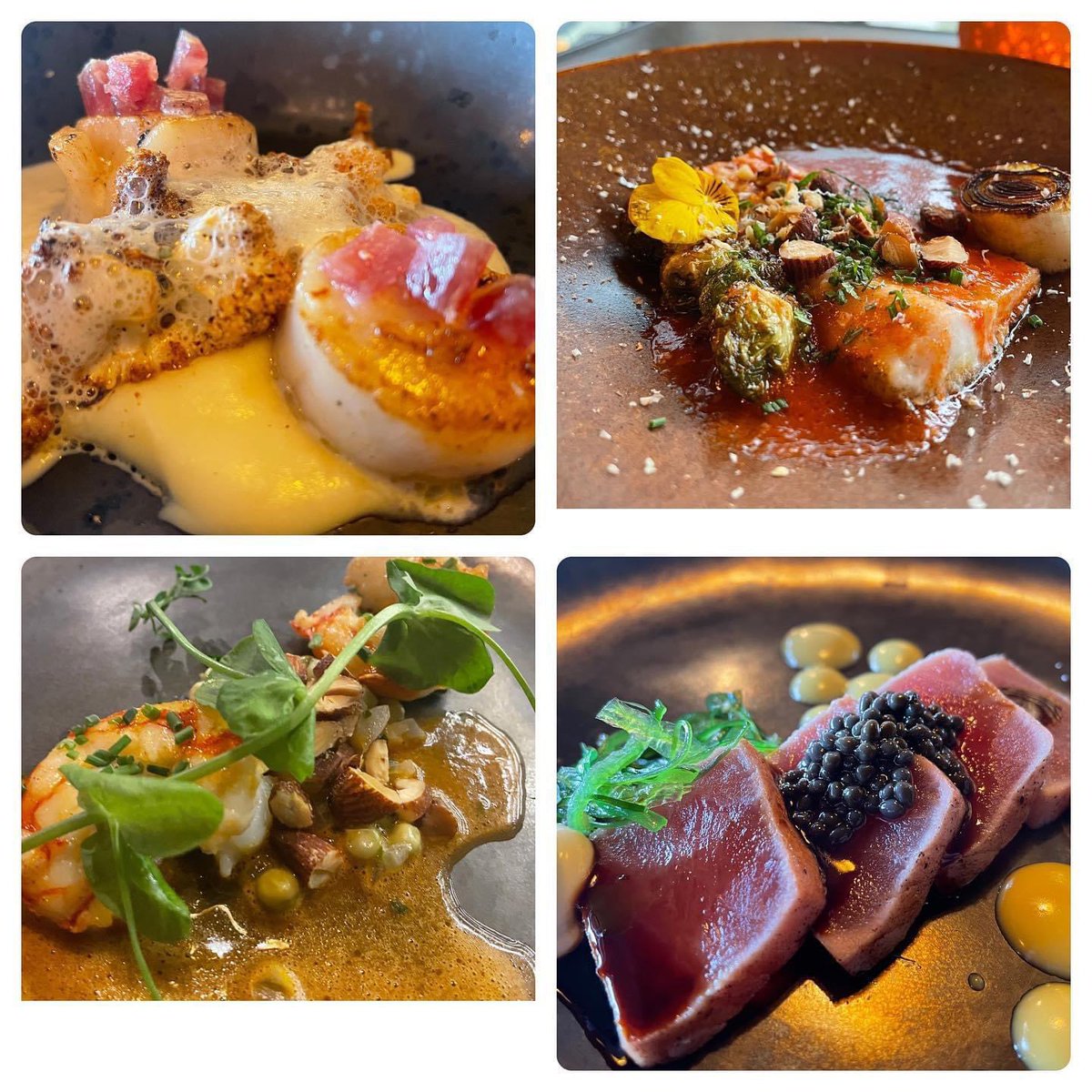 We komen graag naar je toe! Omdat wij om 17.00 uur dicht moeten komen we graag naar je toe! Wil jij een keer ‘gast’ in je eigen huis zijn neem dan contact met ons op, we maken er graag een feestje van! Laat je verrassen met de lekkerste Cotazur gerechtjes die wij in jouw keuken