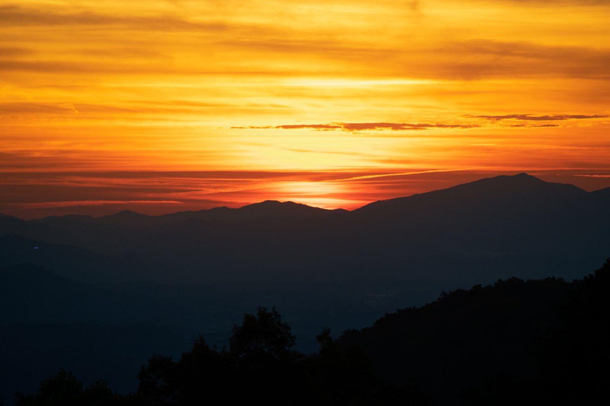 A photo of a sunset in Southern Appalachia. The soft mountain peaks are silhouetted against a deep yellow and orange sky as the sun disappears behind the horizon. In the foreground, the dark outline of trees is visible.