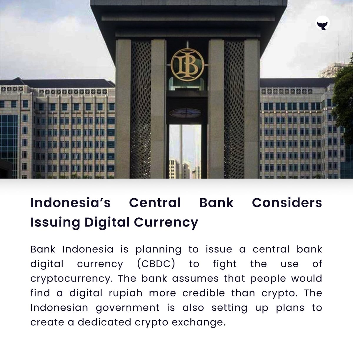 _CryptoWhaler's tweet photo. Indonesia's central bank is planning to issue a CBDC.

Tags:
#IndianWhaler #IndiaWantsCrypto #crypto #cryptofyingindia🇮🇳 #wazirxwarriors #cryptocurrency #CryptoSetsYouFree #Indonesia #Rupiah #CBDC https://t.co/eNPjnqlIka