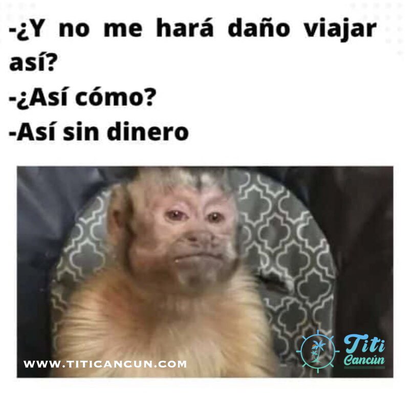 TiTi_cancun's tweet photo. 🤣🤣 https://t.co/IHjsaXKL5g