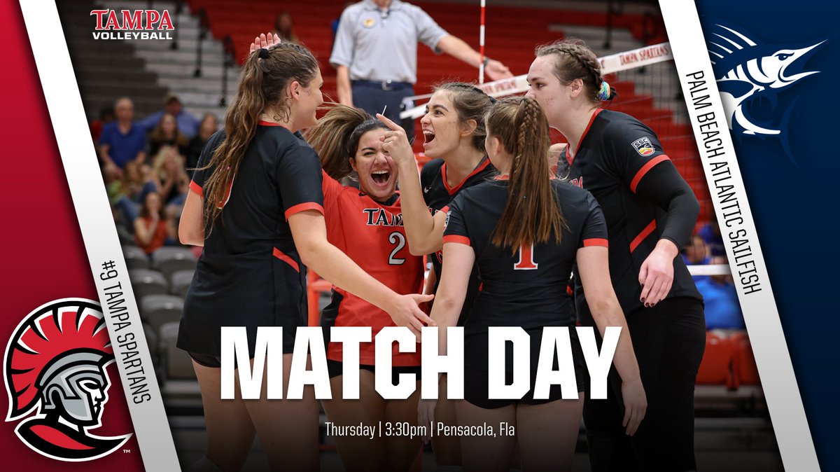 Tampa Volleyball tweet media