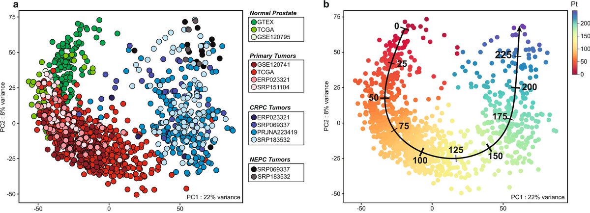 Nature Communications (@naturecomms) on Twitter photo Transcriptome atlas of #ProstateCancer and cell lines, patient-derived #xenografts and #scRNAseq reveal roles of #EZH2 and macrophage polarisation
#CancerResearch by <a href="/MBolisDr/">Marco Bolis</a> <a href="/JTheurillat/">Jean-Philippe Theurillat</a> <a href="/DidyBossi/">Daniela Bossi</a> <a href="/VallergaArianna/">Arianna Vallerga</a> <a href="/Danida0/">Daniela_Imp</a> <a href="/LauraDiRitoMN/">Laura Di Rito</a>
<a href="/NatResCancer/">Cancer at Nature Portfolio</a>
go.nature.com/3DeTbkD Transcriptome atlas of #ProstateCancer and cell lines, patient-derived #xenografts and #scRNAseq reveal roles of #EZH2 and macrophage polarisation
#CancerResearch by <a href="/MBolisDr/">Marco Bolis</a> <a href="/JTheurillat/">Jean-Philippe Theurillat</a> <a href="/DidyBossi/">Daniela Bossi</a> <a href="/VallergaArianna/">Arianna Vallerga</a> <a href="/Danida0/">Daniela_Imp</a> <a href="/LauraDiRitoMN/">Laura Di Rito</a>
<a href="/NatResCancer/">Cancer at Nature Portfolio</a>
go.nature.com/3DeTbkD