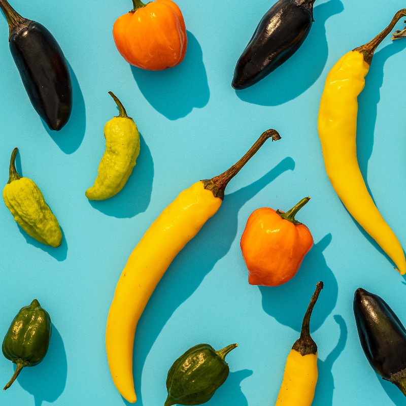 pottscans's tweet photo. We ensure that every single ingredient in our cooking sauces is of the highest quality.

Only the tastiest chillies make it into your cooking sauce cans! 🌶️

Find us in @tescofood in the Mexican food section of World Foods. https://t.co/zEr7xsE7ec