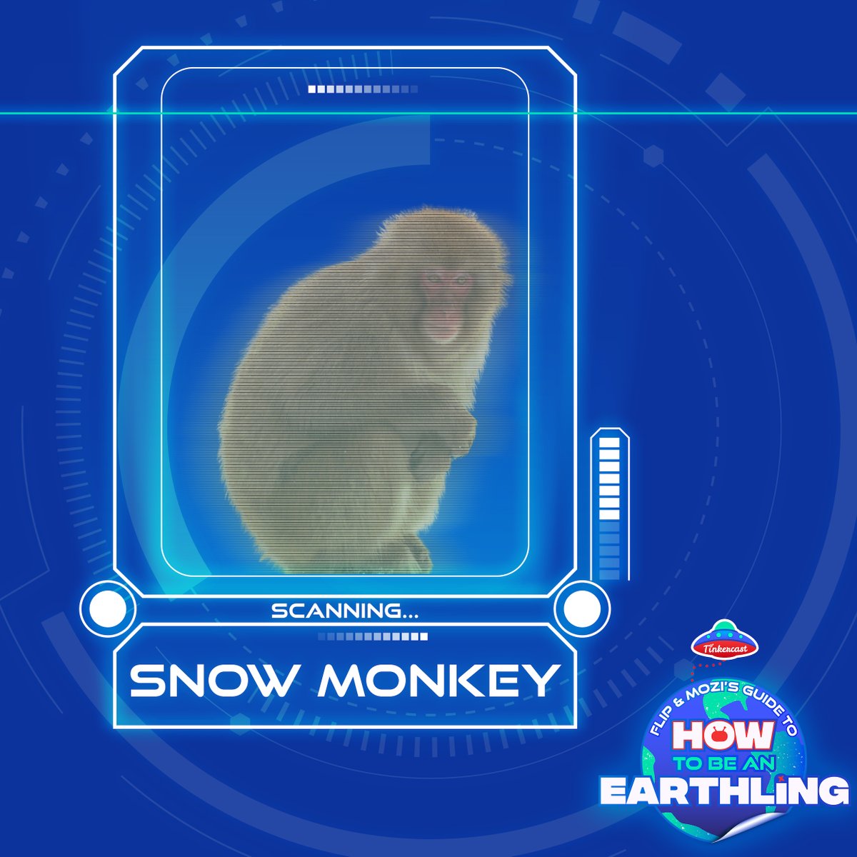 earthling_pod's tweet photo. This week, #FlipandMozi meet the #SnowMonkey! Join them on a musical adventure into the forests of Japan, as they learn the WOWs of how this animal thrives as the northern-most non-human primate! https://t.co/Ou2fVLs9Ah #MonkeyDaily #Monkeys @CUTEFUNNYANIMAL @imgver https://t.co/Lcwcj9sonc