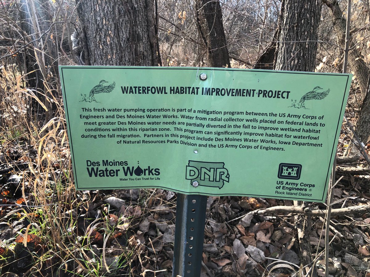 DSMH2O's tweet photo. Water from Des Moines Water Works’ alluvial wells pumps into these #wetland areas near the Saylorville Water Treatment Plant.

This is one way #dmww continues to #thinkdownstream by partnering with @iowadnr to create #habitat for #waterfowl.

Don't drink this untreated water! https://t.co/3hzNvXs2JS