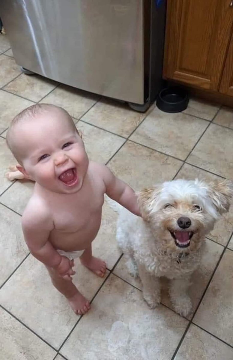 También te quiero, cachorro humano.