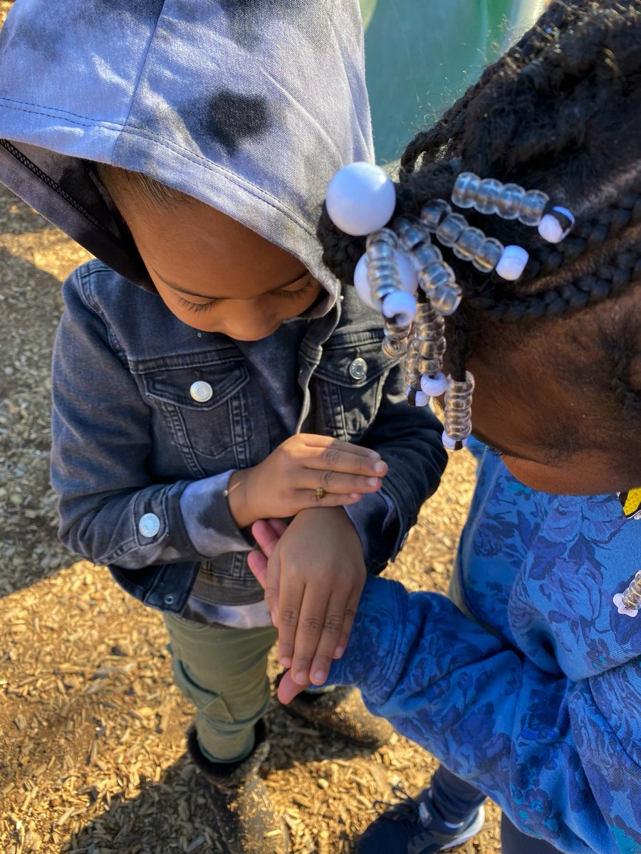 RCPS_EarlyLearn's tweet image. Ladybug 🐞

#playgroundscience #ladybugs #pat #dph