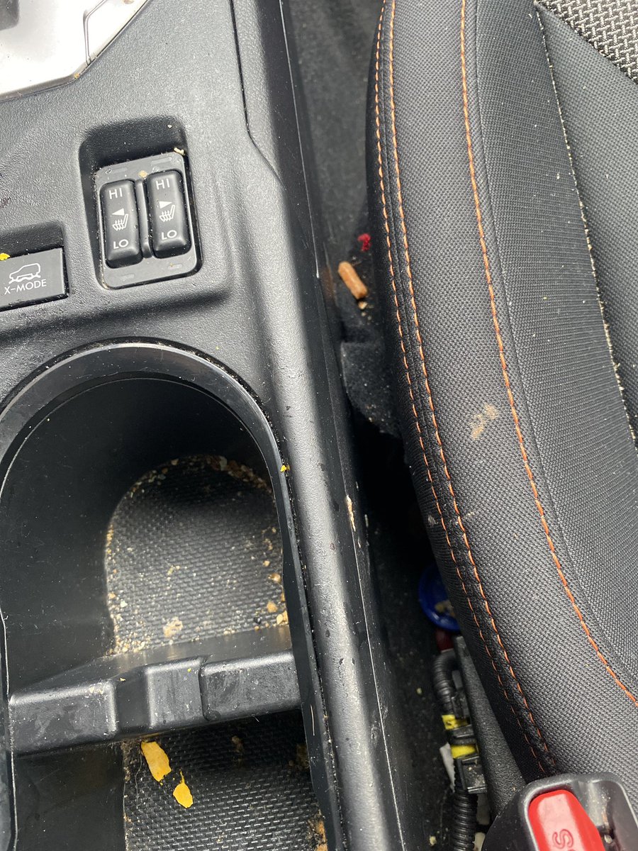 Cassandra Kelly AM tweet media