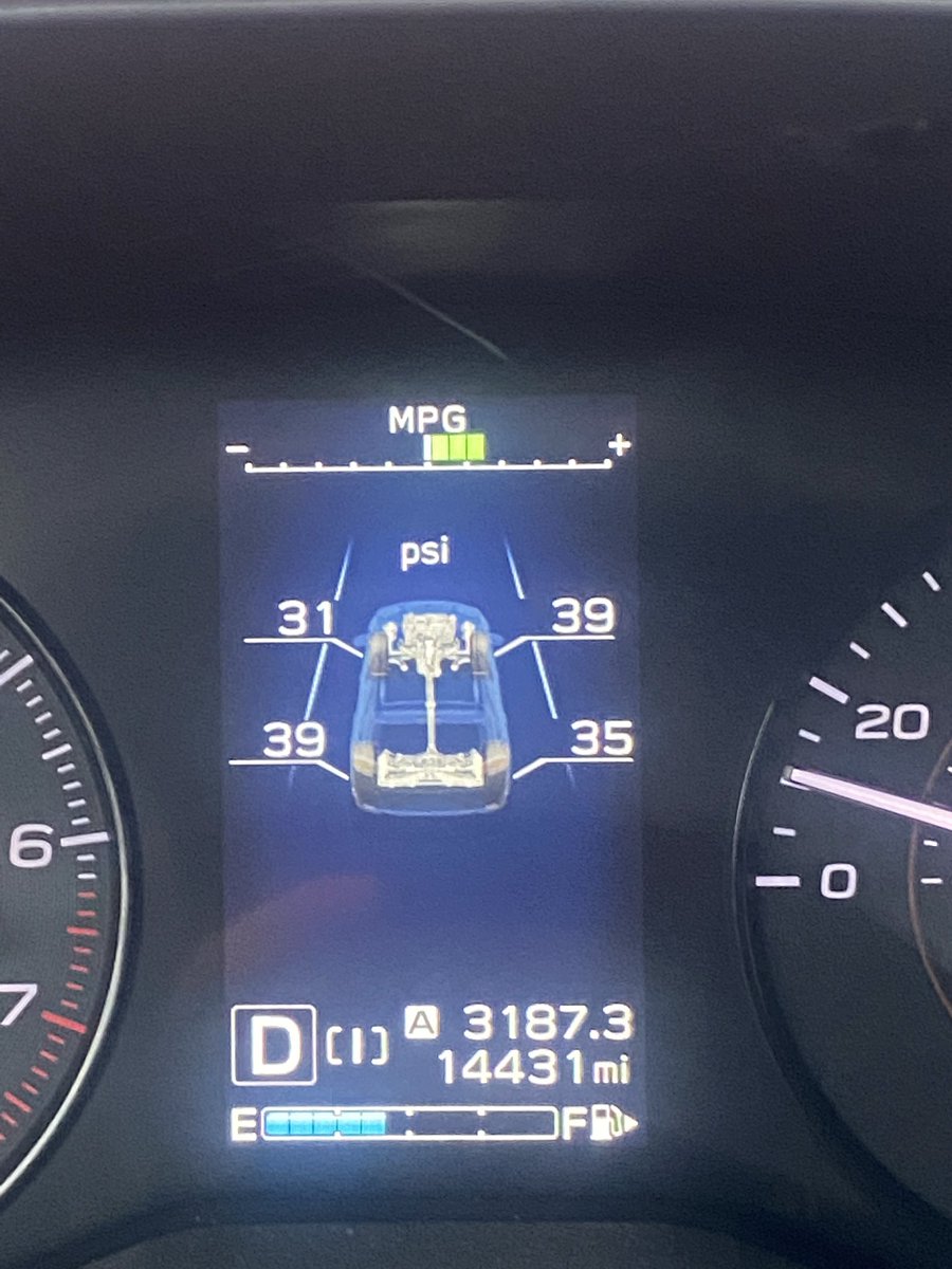 Cassandra Kelly AM tweet media