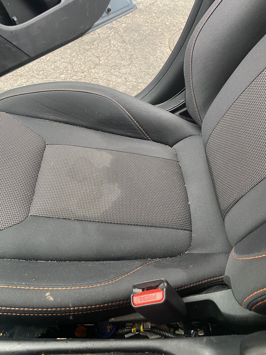 Cassandra Kelly AM tweet media