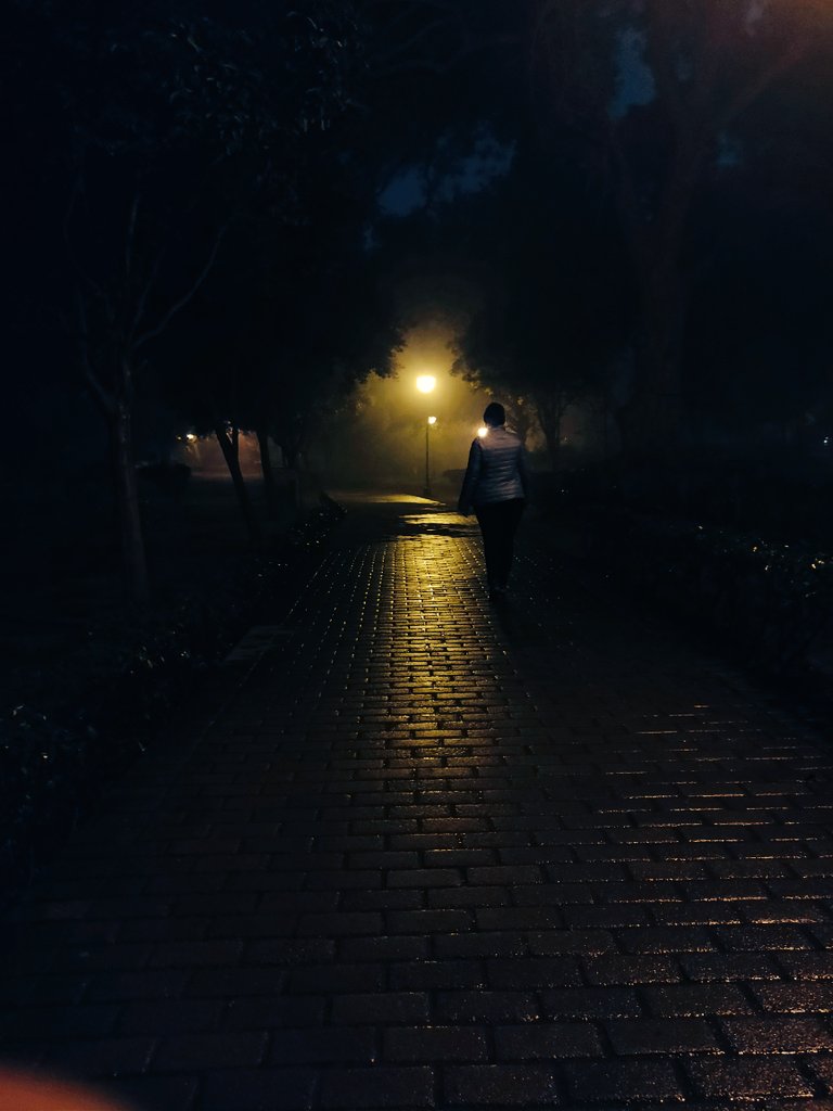 desi_rr's tweet photo. #RR                       #eveningwalk🚶‍♀️🚶‍♀️        

#dillirains🌧️🌧️    

                     #NatureBeauty🌳🌳🌧️🌧️ 

#NaturePhotography📸 
@arborsmarty @TreesPics https://t.co/5cZKAjENrN