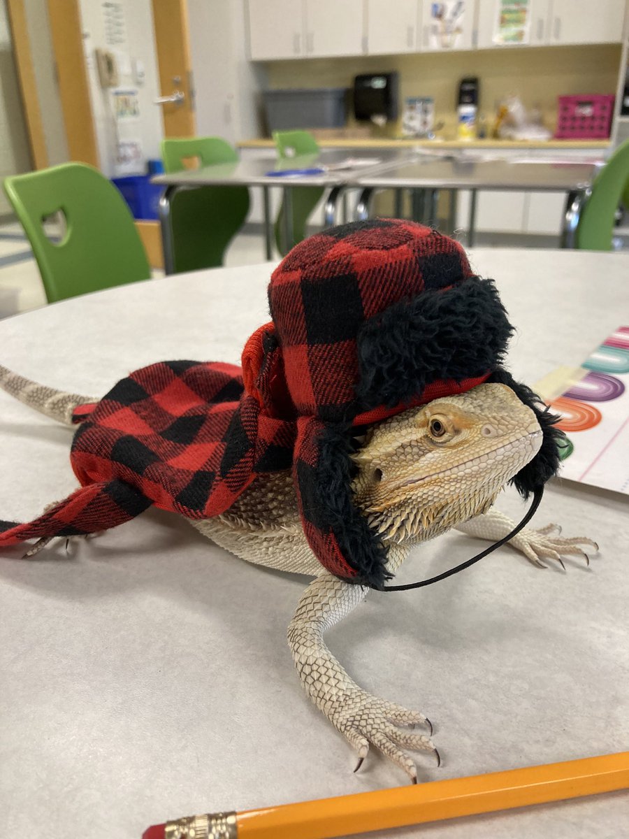 dmarzenx's tweet photo. it’s “Mad About Plaid” day @LHECMES, and Draco is definitely mad about it 😂 https://t.co/7LR83tXutH