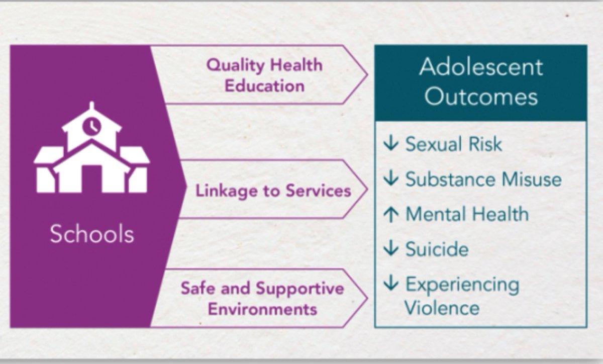 Lkern12's tweet photo. Here’s another reason why @schoolnurses are critical instructional support staff. All students need access to a #schoolnurse #alldayeveryday #4studenthealth Linking students to #SHS can improve outcomes in #sexualrisk, #substancemisuse #suicide, and experiencing #violence https://t.co/95zmHgoQfL