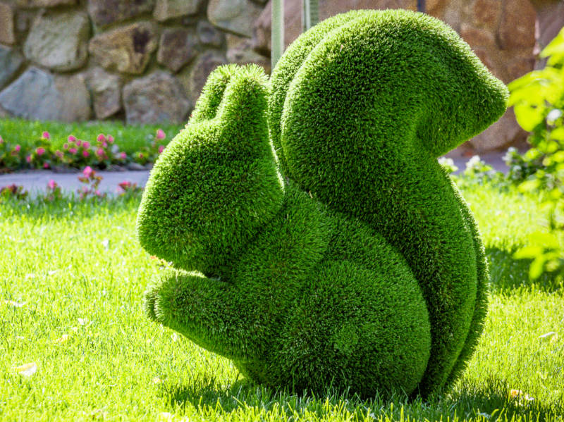 MandyCanUDigIt's tweet photo. NEW: Guide to #topiary for beginners - big thanks to all at @SuttonManorNurs for their expertise! Think you're up to a squirrel? Me neither. #gardening #GardeningTwitter https://t.co/RlViO75Q1C https://t.co/mHAGZNyiwy